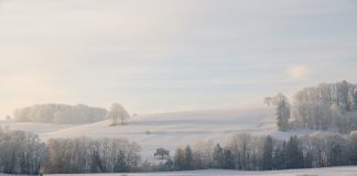 Buchtipp: Das Glück der kalten Jahre von Martyna Bunda