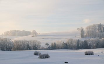 Buchtipp: Das Glück der kalten Jahre von Martyna Bunda