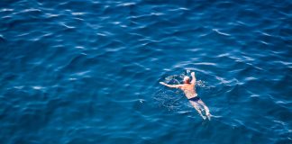 Buchempfehlung: Kanalschwimmer von Ulrike Draesner