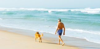 Buchempfehlung: Therapie auf vier Pfoten