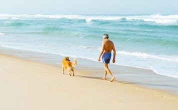 Buchempfehlung: Therapie auf vier Pfoten