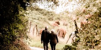 Die Top vier unter den Nahrungsergänzungsmitteln für mehr Gesundheit im Alter Sich auch im Alter in seiner Haut wohlfühlen - das sollte das Ziel eines jeden von uns sein. Bildquelle: © Pixabay.com