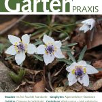 940032-gartenpraxis-3-2020-cover