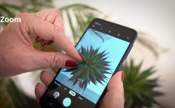 Wir versilbern das Netz: Kamera und Foto mit Android Smartphones