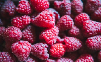 Beerenobst im Garten pflanzen: 6 Tipps für eine erfolgreiche Ernte Ob Himbeere, Erdbeere oder Heidelbeere, Beerenobst lässt sich ganz wunderbar im eigenen Garten anbauen und ernten. Bildquelle: © Kamil S. / Unsplash.com