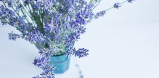 Die neun besten Hausmittel zum Schutz gegen Mücken Die guten alten Hausmittel sind meist die effektivsten im Kampf gegen die Mücken. Bildquelle: © Olga Tutunaru / Unsplash.com