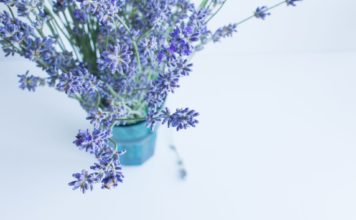 Die neun besten Hausmittel zum Schutz gegen Mücken Die guten alten Hausmittel sind meist die effektivsten im Kampf gegen die Mücken. Bildquelle: © Olga Tutunaru / Unsplash.com