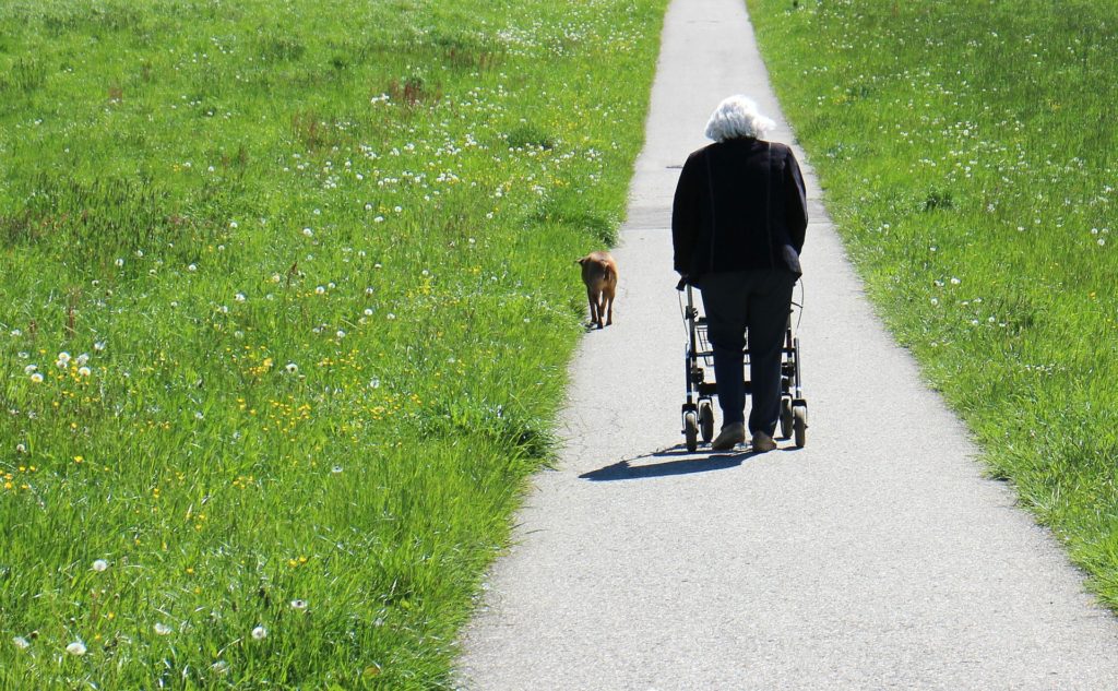 Gesellschaftlich leider immer noch nicht vollständig anerkannt, ist der Rollator ein Stück Freiheit für diejenigen, deren Mobilität bereits eingeschränkt ist. Bildquelle: © Pixabay.com