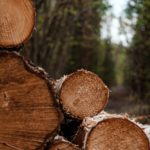 Nachhaltigkeit und Herkunft spielen für uns als Verbraucher eine immer größere Rolle. Bildquelle: © Irena Carpaccio / Unsplash.com