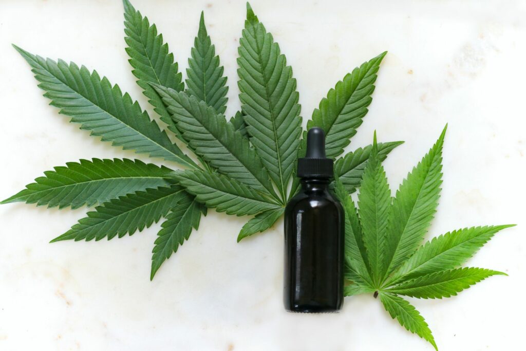 Der natürliche Wirkstoff Cannabidiol (CBD) ist ein sehr vielseitiges Naturheilmittel. Bildquelle: © Kimzy Nanney / Unsplash.com