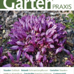 940532-garten-praxis-11-2020-cover