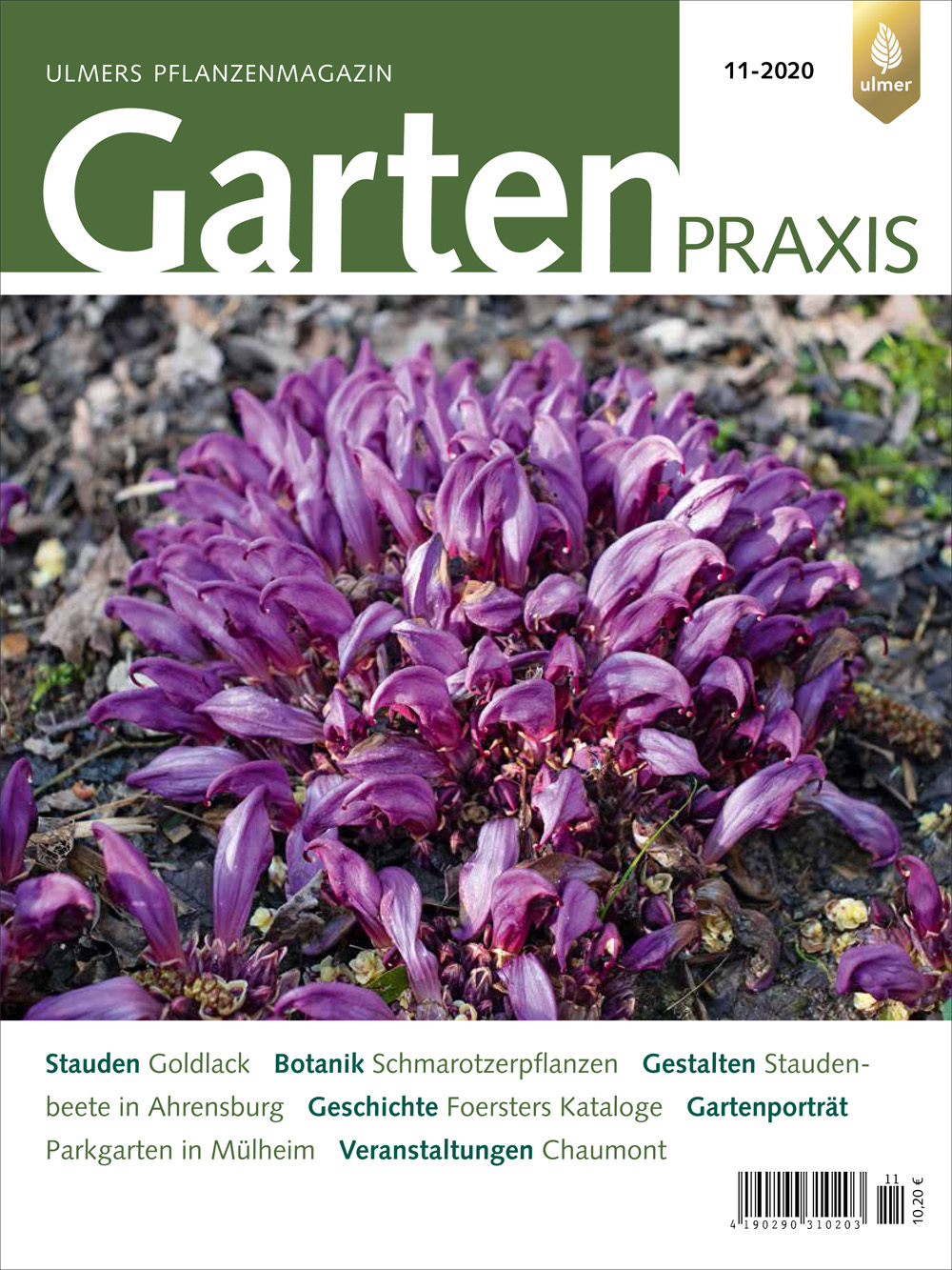 GartenPraxis. Zeitschrift. KennenlernAbo 59plus