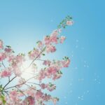 Gerade im beginnenden Frühling ist ausreichender Sonnenschutz sehr wichtig. Bildquelle: © Anders Jilden / Unsplash.com