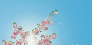 Frühlingssonne mit ausreichend Sonnenschutz genießen Gerade im beginnenden Frühling ist ausreichender Sonnenschutz sehr wichtig. Bildquelle: © Anders Jilden / Unsplash.com