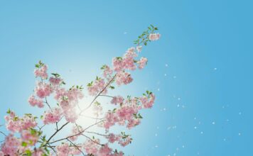 Frühlingssonne mit ausreichend Sonnenschutz genießen Gerade im beginnenden Frühling ist ausreichender Sonnenschutz sehr wichtig. Bildquelle: © Anders Jilden / Unsplash.com