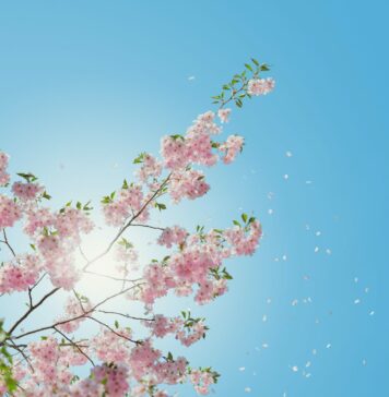 Frühlingssonne mit ausreichend Sonnenschutz genießen Gerade im beginnenden Frühling ist ausreichender Sonnenschutz sehr wichtig. Bildquelle: © Anders Jilden / Unsplash.com