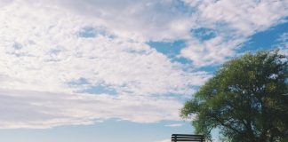 Angehörige durch Bestattungsvorsorge entlasten Auch das was nach unserem Ableben mit uns geschehen soll, kann und sollte in einer Bestattungsvorsorge festgelegt werden. Bildquelle: © Noah Silliman / Unsplash.com