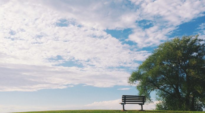 Angehörige durch Bestattungsvorsorge entlasten Auch das was nach unserem Ableben mit uns geschehen soll, kann und sollte in einer Bestattungsvorsorge festgelegt werden. Bildquelle: © Noah Silliman / Unsplash.com