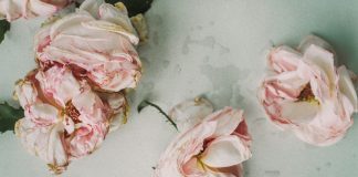 Angehörige entlasten – Finanzplanung bei der Bestattung Der Verlust eines geliebten Menschen ist immer schlimm. Um so besser ist es, wenn dieser die Art seiner Bestattung bereits zu Lebzeiten bestimmt hat. Bildquelle: © Besdaria Shevtsova / Unsplash.com