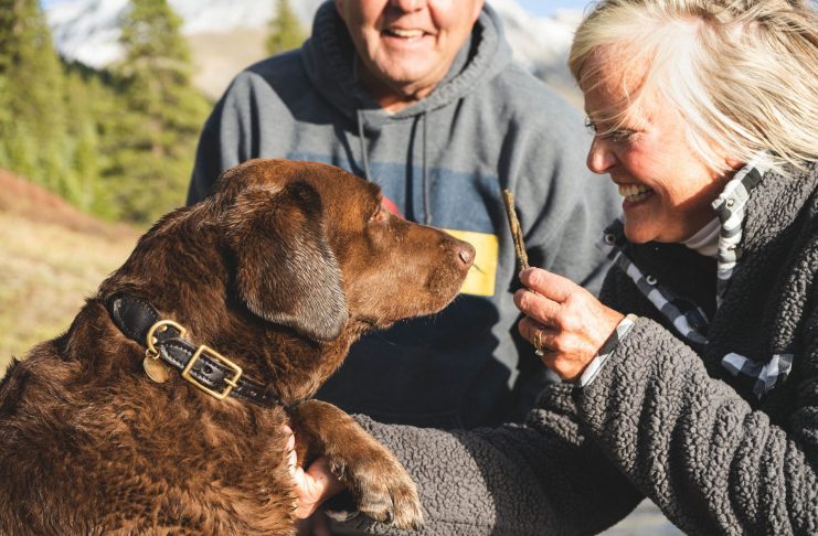 Zusammen ist man weniger alt Zusammen ist man weniger alt. Nicht nur eine These, sondern der gelebte Alltag des Autoren Lorenz Wagner. Bildquelle: © Chewy / Unsplash.com