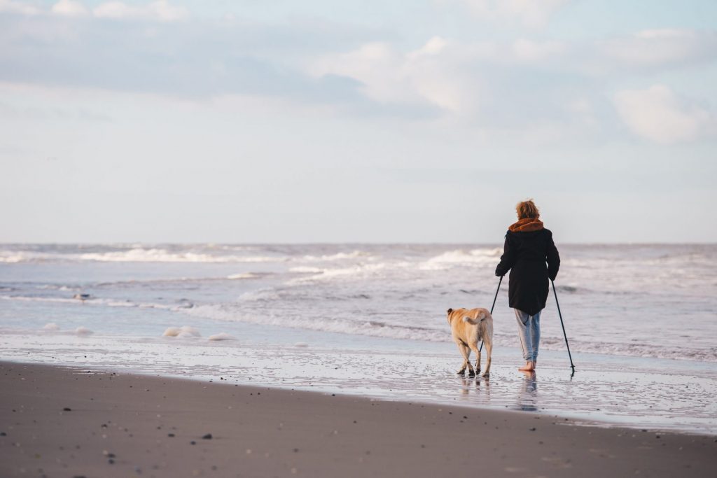 Ob im Urlaub oder beim täglichen Fitnessprogramm - der Hund ist ein toller Begleiter. Bildquelle: © Joppe Spaa / Unsplash.com