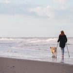 Ob im Urlaub oder beim täglichen Fitnessprogramm – der Hund ist ein toller Begleiter. Bildquelle: © Joppe Spaa / Unsplash.com