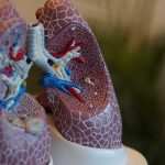 Die Lunge ist bei einer diagnostizierten COPD dauerhaft entzündet und verengt. Bildquelle: © Robina Weermeijer / Unsplash.com