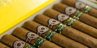 Bewusster Genuss: Zigarren-Guide für Einsteiger Die Welt der Zigarren ist schon eine ganz eigene, daher hier eine kleine Zigarrenkunde. Bildquelle: © Dickson Kwok / Unsplash.com