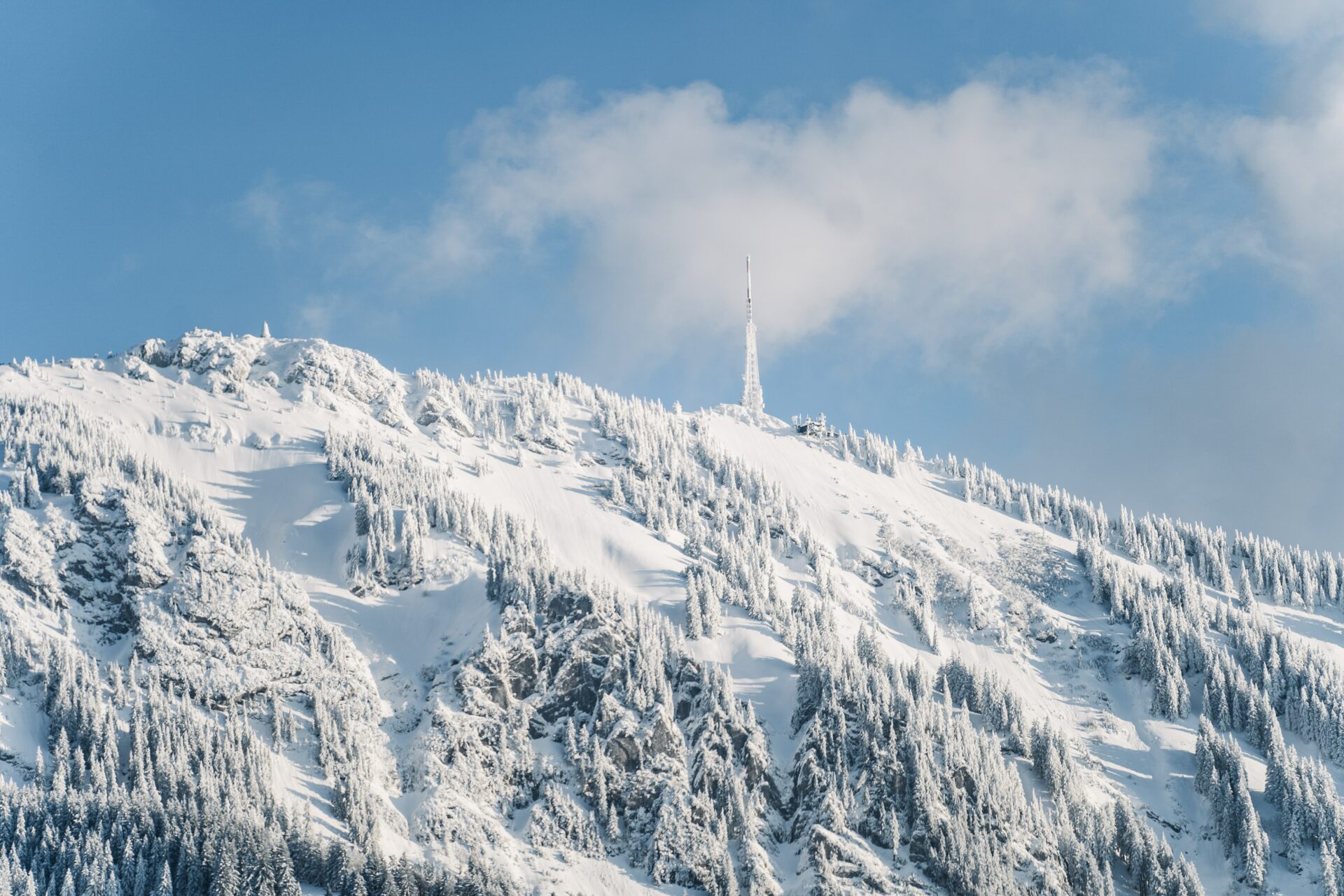 Egal ob im Winter oder im Sommer, das Allgäu bietet immer ein wunderschönes Panorama. Bildquelle: © Philipp Angerhofer / Unsplash.com