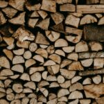 Vor allem die Birke ist ein sehr beliebtes Brennholz, vor allem wegen seiner langen Brenndauer. Bildquelle: © Annie Spratt / Unsplash.com