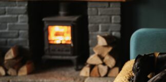 Die Birke – ein wunderbares Brennholz Mit einem Kamin oder Ofen und ausreichend Brennholz kann man den Winter ganz gemütlich verbringen. Bildquelle: © Annie Spratt / Unsplash.com