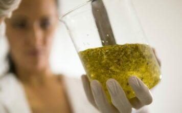 Mitesser mit Öl entfernen: Geheimtipp oder Beauty-Mythos? Das sog. Oil-Cleansing verhilft auch der Generation 59plus zu einer gepflegten und reinen Haut. Bildquelle: © Bee Naturalles / Unsplash.com