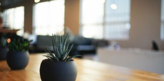 Makeover im Innenraum: So bekommt Holz einen Frischekick Gönnen Sie ihrem Esstisch doch mal eine Wohlfühlbehandlung und er wird es Ihnen mit einer tollen neuen Optik danken. Bildquelle: © Alvin Engler / Unsplash.com