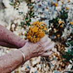 Die Hautalterung an sich können wir nicht aufhalten, aber ein wenig Anti-Aging in Form von Cremes oder Salben erfreut unsere Haut in jedem Alter. Bildquelle: © Sincerely Media / Unsplash.com