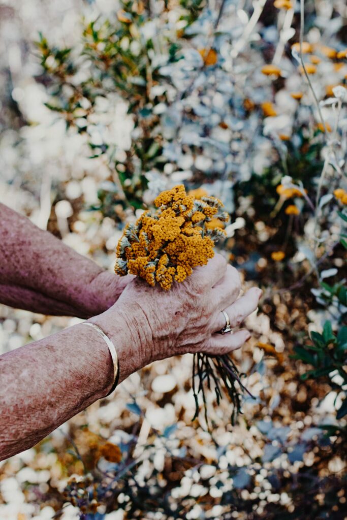 Die Hautalterung an sich können wir nicht aufhalten, aber ein wenig Anti-Aging in Form von Cremes oder Salben erfreut unsere Haut in jedem Alter. Bildquelle: © Sincerely Media / Unsplash.com