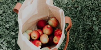 Alltagshelfer für mehr Unabhängigkeit im Alter Wenn schwere Einkäufe beginnen eine Herausforderung zu werden, kann ein Treppensteiger ein hervorragendes Hilfsmittel sein. Bildquelle: © Priscilla du Preez / Unsplash.com