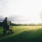 Vielleicht ist es auch der Spaziergang und die Gesellschaft einer allein stehenden Person. Bildquelle: © Dominik Lange / Unsplash.com