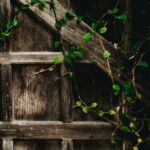 Vor allem Holzelemente und eine dauerhafte Begrünung sorgen für eine tolle Atmosphäre im Garten. Bildquelle: © Nathan Dumlao / Unsplash.com