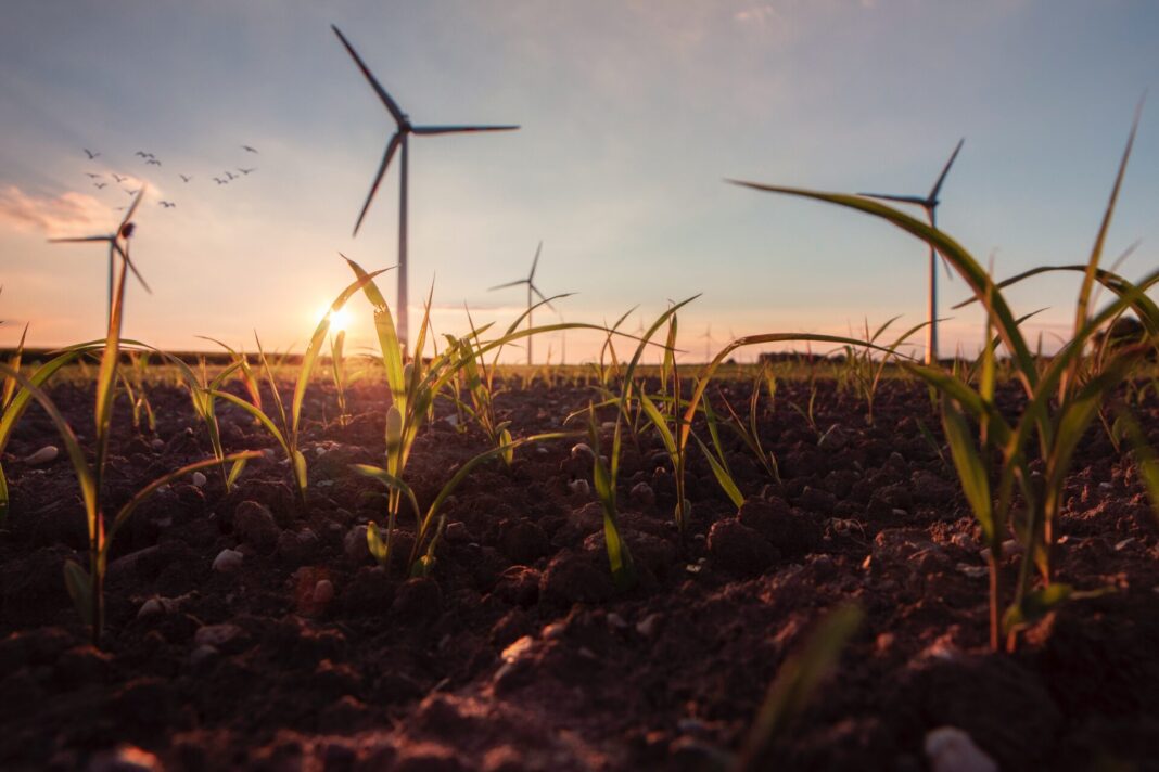 Der Umwelt zuliebe müssen wir auf deutlich mehr alternative Energien umsteigen, wenn wir den Klimawandel noch aufhalten wollen. Bildquelle: © Lukas Kulla / Unsplash.com