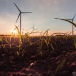 Der Umwelt zuliebe müssen wir auf deutlich mehr alternative Energien umsteigen, wenn wir den Klimawandel noch aufhalten wollen. Bildquelle: © Lukas Kulla / Unsplash.com