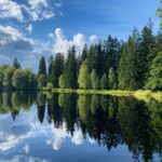 Die wunderschöne Natur und die alten Kurbäder laden zu einem Wellnessurlaub in Tschechien ein. Bildquelle: © Datingscout / Unsplash.com