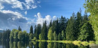 Wellnessurlaub in Tschechien für die Generation 59plus Die wunderschöne Natur und die alten Kurbäder laden zu einem Wellnessurlaub in Tschechien ein. Bildquelle: © Datingscout / Unsplash.com