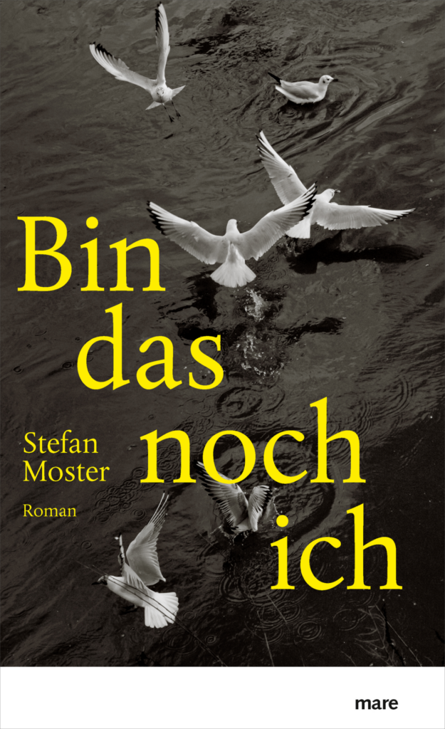 BIN DAS NOCH ICH - von Stefan Moster, erschienen im Mare Verlag