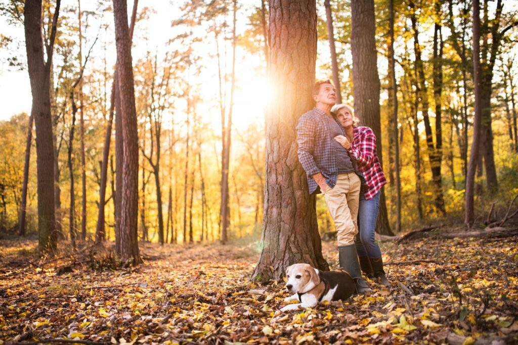 Durch kleine Gesten und Berührungen können wir unserem Partner/in immer wieder unsere Zuneigung zeigen. Bildquelle: © Getty Images / Unsplash.com