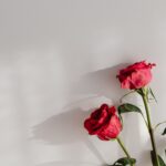 Sie sind, egal in welcher Generation, bis heute das Symbol für Liebe und Zuneigung. Bildquelle: © Karolina Grabowska / Unsplash.com
