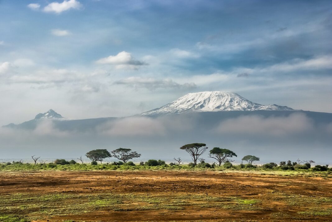 Afrika begeistert als Reiseland vor allem mit seiner einzigartigen Vielfalt an Natur und Wildtieren. Bildquelle: © Sergey Pesterev / Unsplash.com