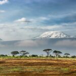 Afrika begeistert als Reiseland vor allem mit seiner einzigartigen Vielfalt an Natur und Wildtieren. Bildquelle: © Sergey Pesterev / Unsplash.com
