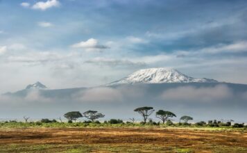 Afrika: Traumreiseziele im Osten und Südwesten Afrika begeistert als Reiseland vor allem mit seiner einzigartigen Vielfalt an Natur und Wildtieren. Bildquelle: © Sergey Pesterev / Unsplash.com