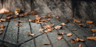 Plötzlicher Todesfall in der Familie – so handelt man jetzt richtig! Ein plötzlicher Todesfall ist in ganz unterscheidlicher Hinsicht eine große Herausforderung. Bildquelle: © GR Stocks / Unsplash.com