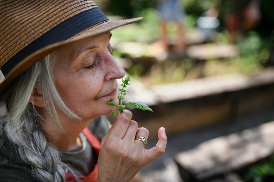 Wenn möglich lassen Sie ihren Garten von einem Profi so gestalten, dass Sie möglichstwenig Arbeit und viel Freizeitwert haben. Bildquelle: © Getty Images / Unsplash.com